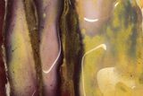 Colorful, Polished Mookaite Jasper Slab - Australia #239668-1